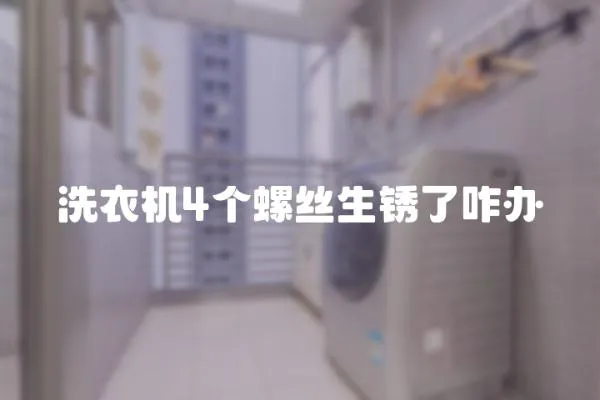 洗衣機4個螺絲生銹了咋辦