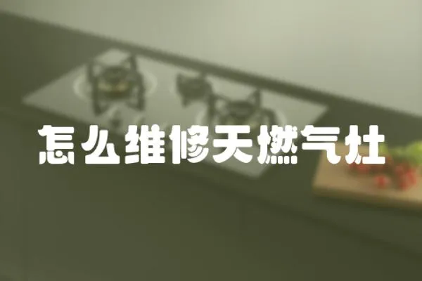 怎么維修天燃?xì)庠?></a></div>
                    <div   id=