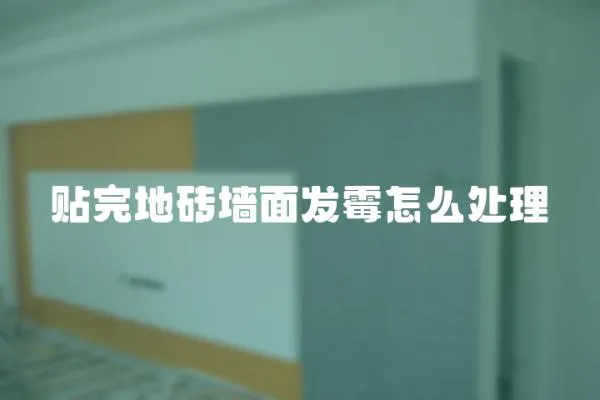 貼完地磚墻面發霉怎么處理