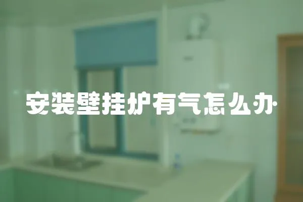 安裝壁掛爐有氣怎么辦