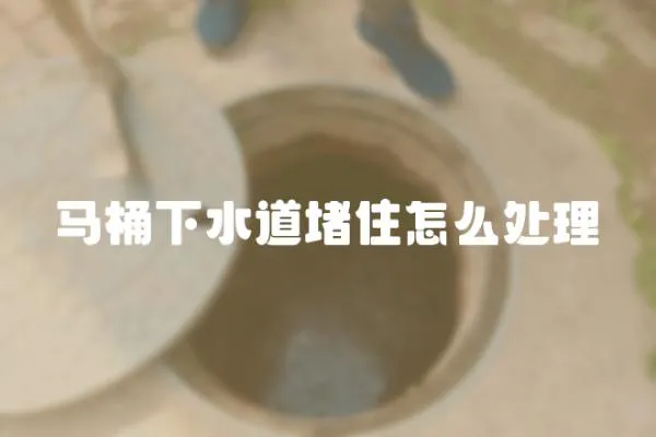 馬桶下水道堵住怎么處理