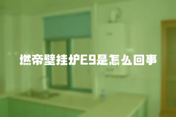 燃帝壁掛爐E9是怎么回事