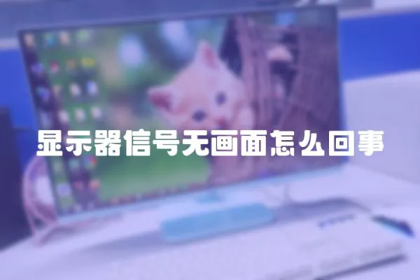 顯示器信號無畫面怎么回事
