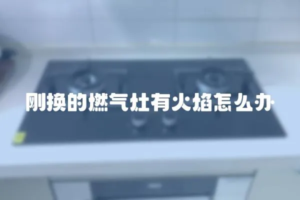 剛換的燃氣灶有火焰怎么辦