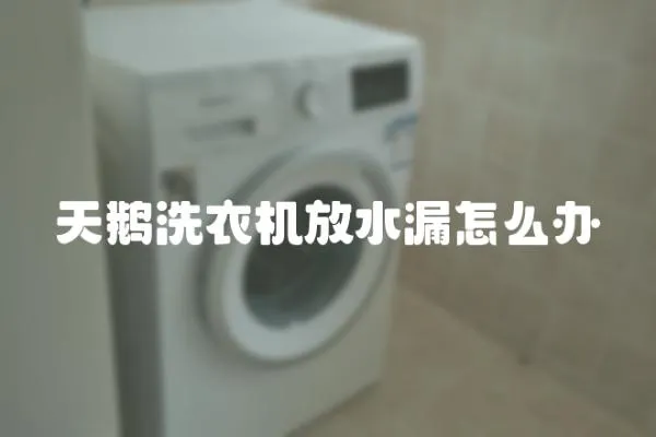 天鵝洗衣機放水漏怎么辦