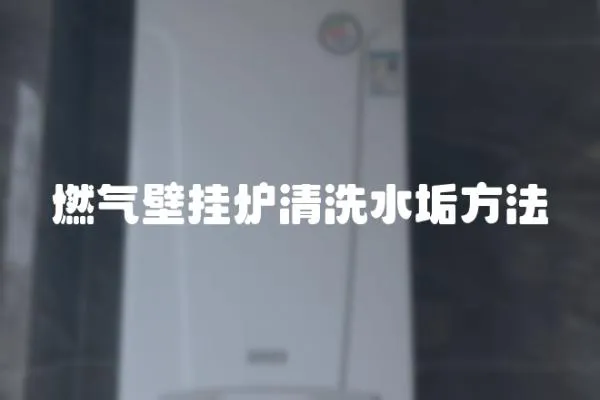 燃?xì)獗趻鞝t清洗水垢方法