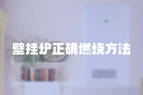 壁掛爐正確燃燒方法