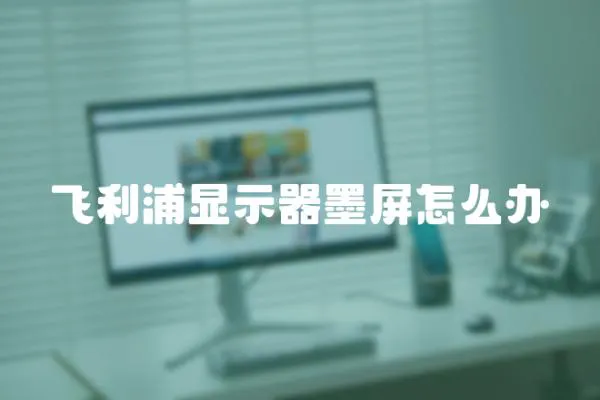 飛利浦顯示器墨屏怎么辦