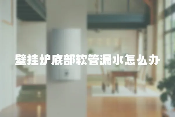 壁掛爐底部軟管漏水怎么辦