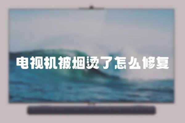 電視機被煙燙了怎么修復