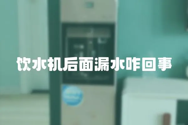 飲水機后面漏水咋回事