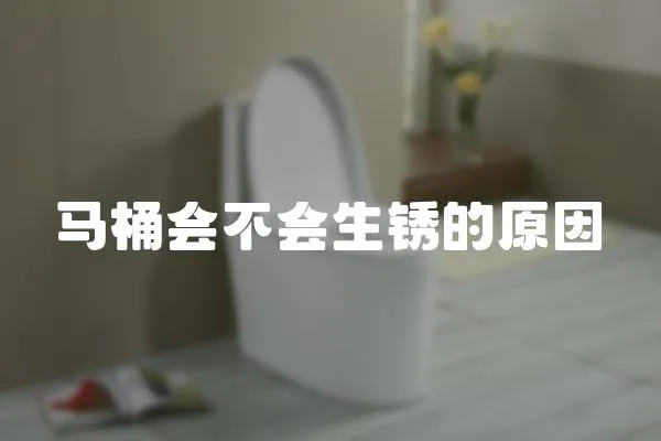 馬桶會不會生銹的原因
