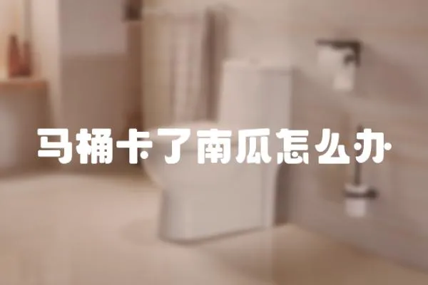 馬桶卡了南瓜怎么辦