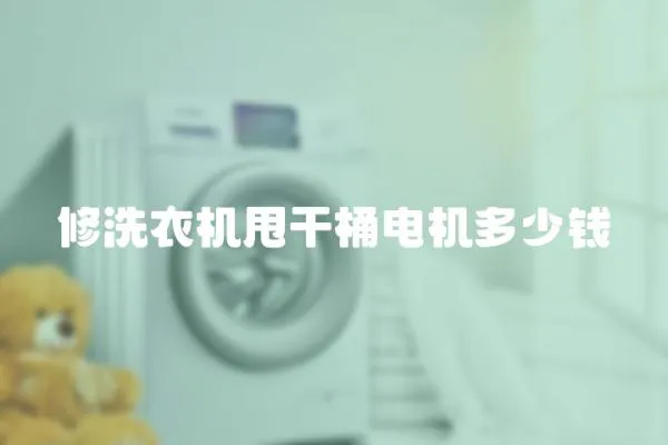 修洗衣機甩干桶電機多少錢