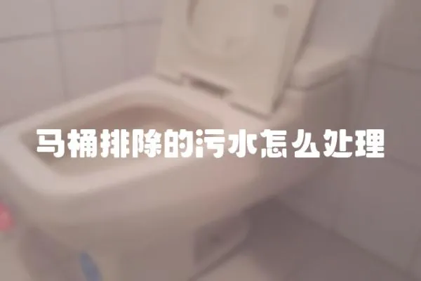 馬桶排除的污水怎么處理