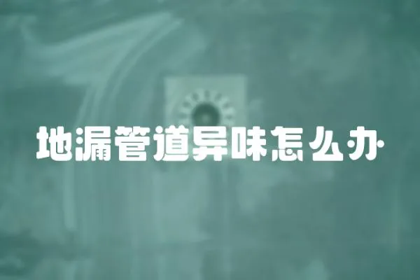 地漏管道異味怎么辦