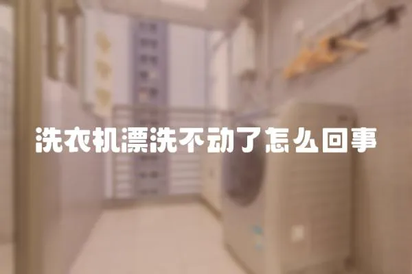 洗衣機漂洗不動了怎么回事