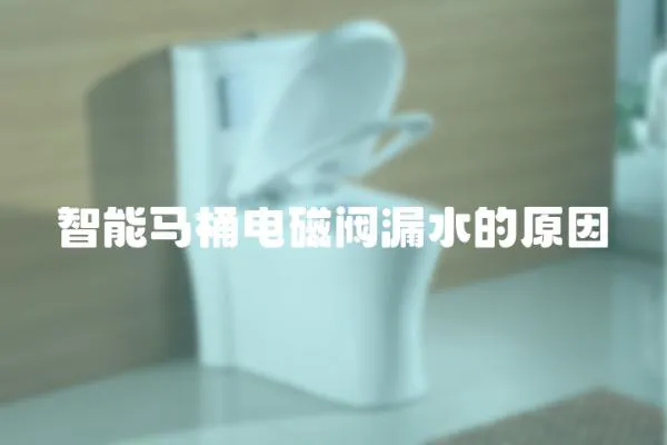 智能馬桶電磁閥漏水的原因