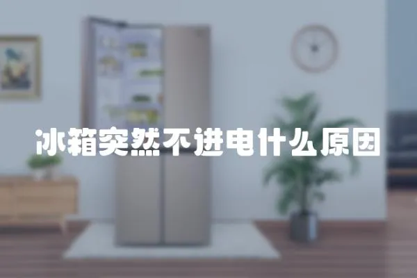 冰箱突然不進電什么原因