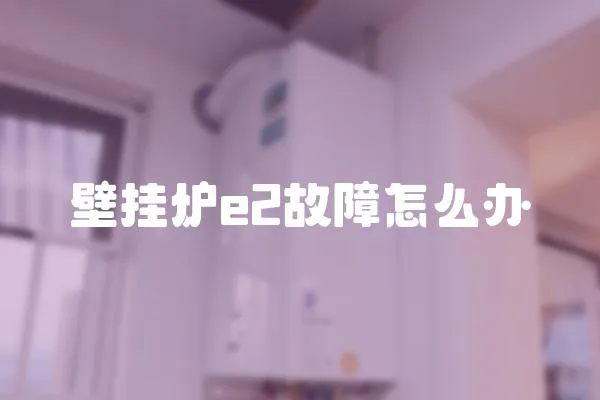 壁掛爐e2故障怎么辦