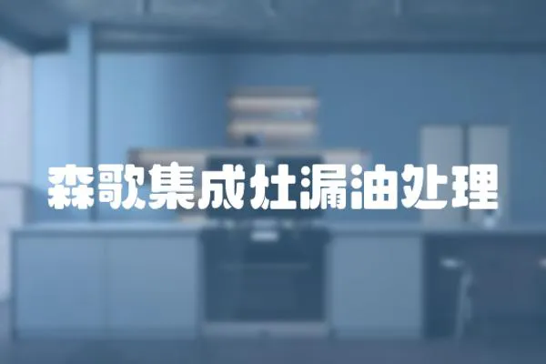 森歌集成灶漏油處理