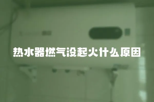 熱水器燃氣沒起火什么原因