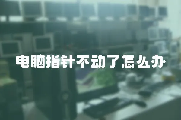 電腦指針不動了怎么辦