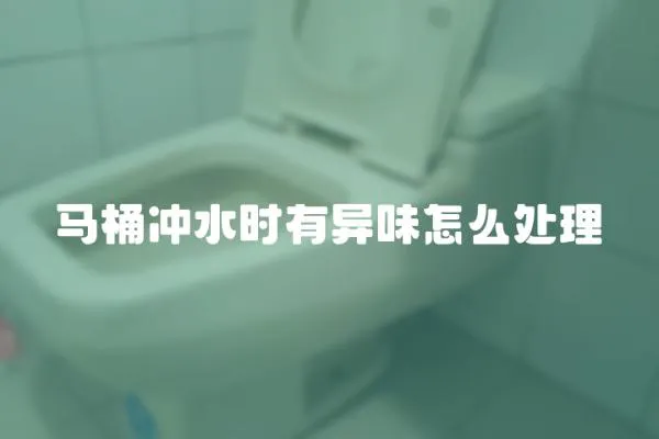 馬桶沖水時有異味怎么處理