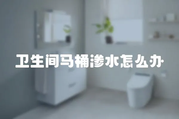 衛生間馬桶滲水怎么辦