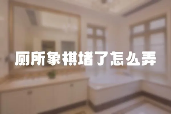 廁所象棋堵了怎么弄