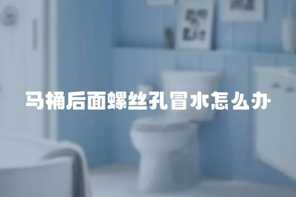 馬桶后面螺絲孔冒水怎么辦