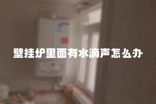 壁掛爐里面有水滴聲怎么辦