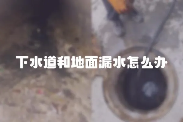 下水道和地面漏水怎么辦