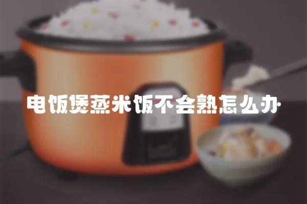 电饭煲蒸米饭不会熟怎么办