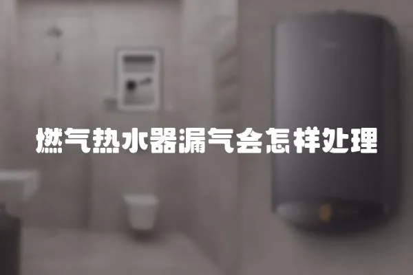 燃氣熱水器漏氣會怎樣處理