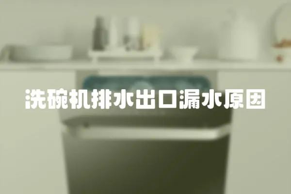 洗碗机排水出口漏水原因