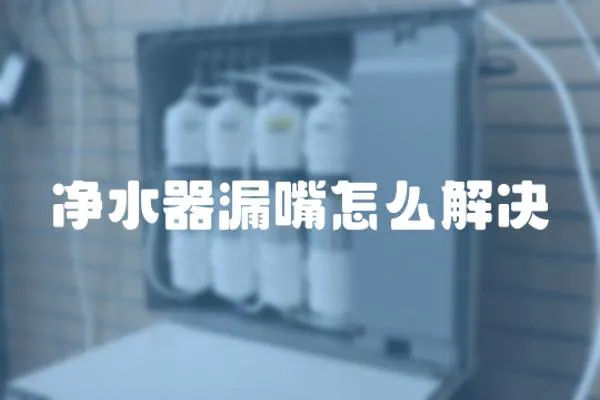 凈水器漏嘴怎么解決