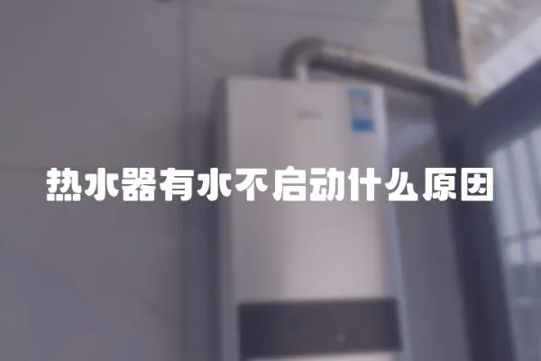 熱水器有水不啟動什么原因
