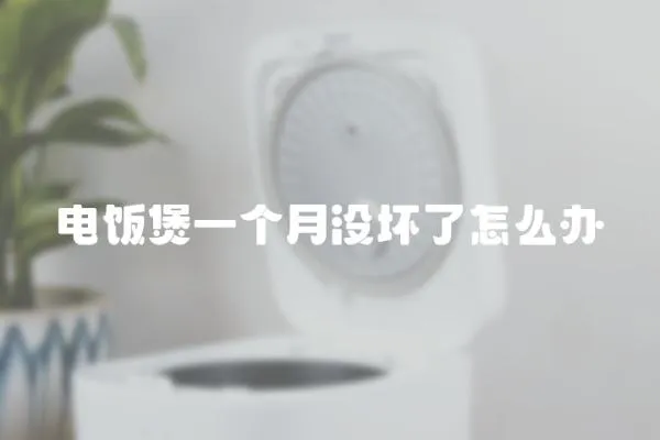 電飯煲一個月沒壞了怎么辦