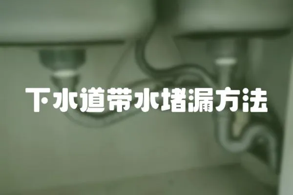 下水道帶水堵漏方法