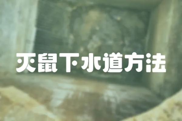 滅鼠下水道方法