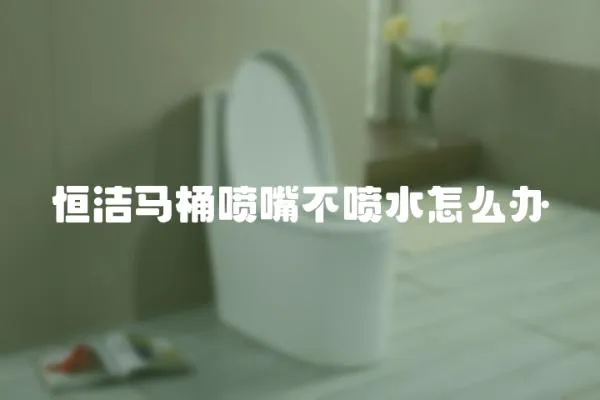 恒潔馬桶噴嘴不噴水怎么辦