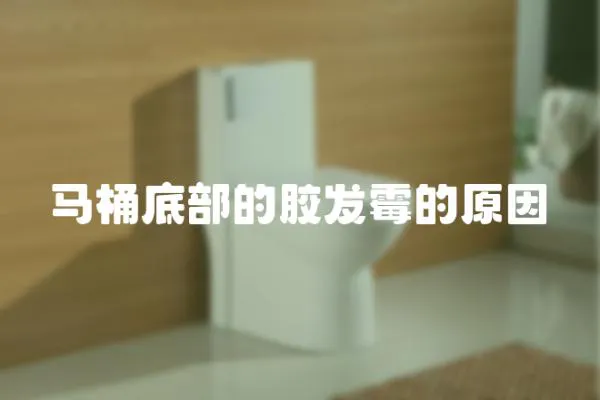 馬桶底部的膠發霉的原因