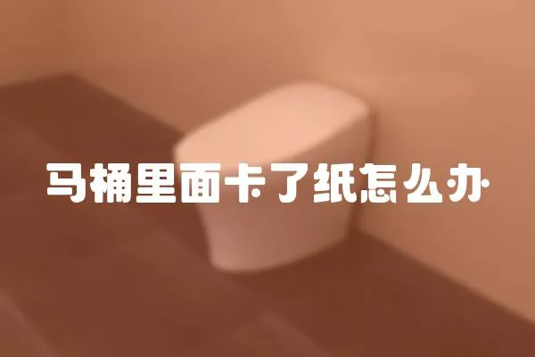 馬桶里面卡了紙怎么辦