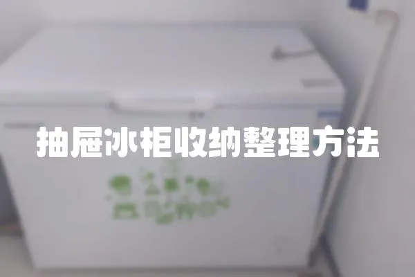 抽屜冰柜收納整理方法