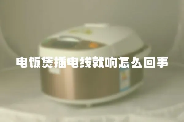 電飯煲插電線就響怎么回事