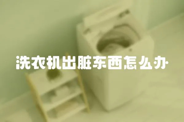 洗衣機(jī)出臟東西怎么辦