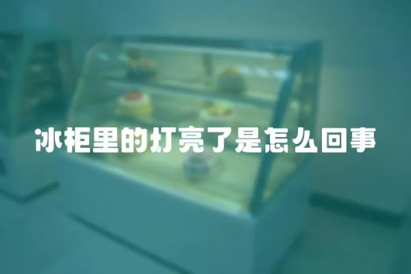 冰柜里的燈亮了是怎么回事