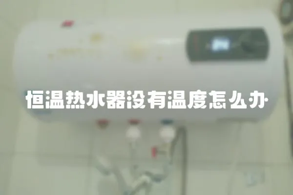 恒溫熱水器沒有溫度怎么辦
