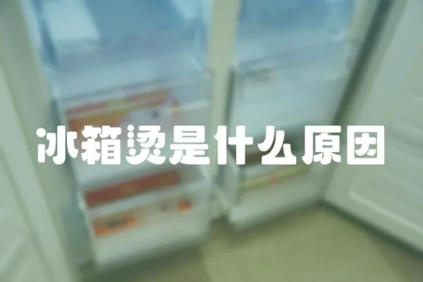 冰箱烫是什么原因